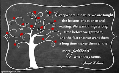 Adoption Quote