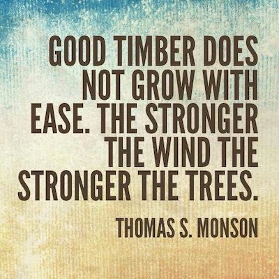 Adversity Quote