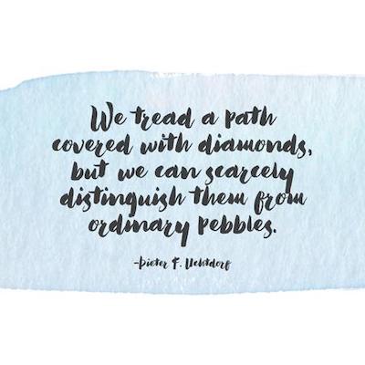 Adversity Quote