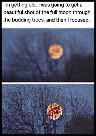 burger king moon