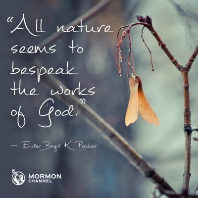 Creation Quote