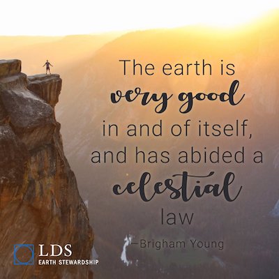 Creation Quote