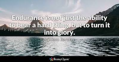 Endurance Quote
