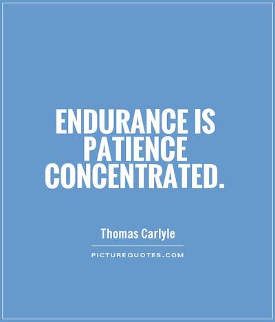 Endurance Quote