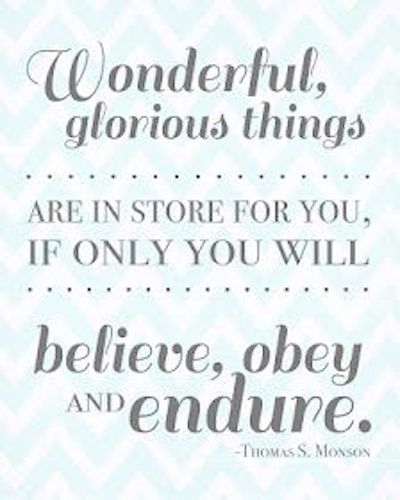 endurance quote