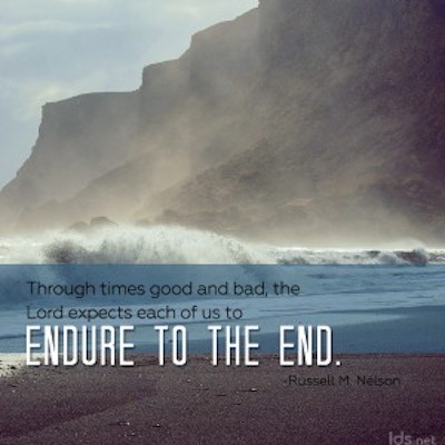 endurance quote