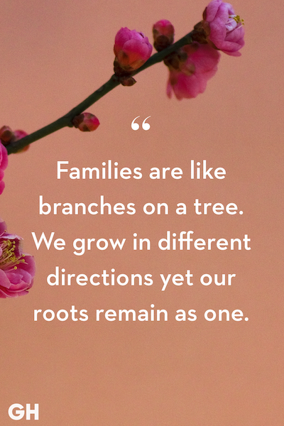 Family Quote