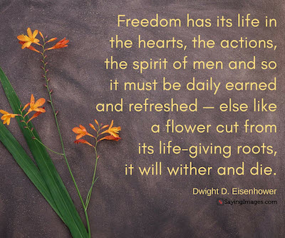 Freedom Quote
