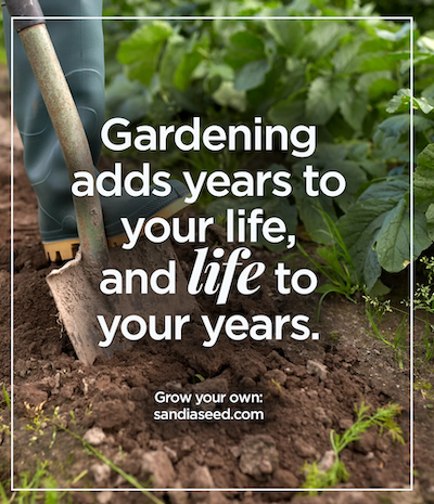 garden quotes