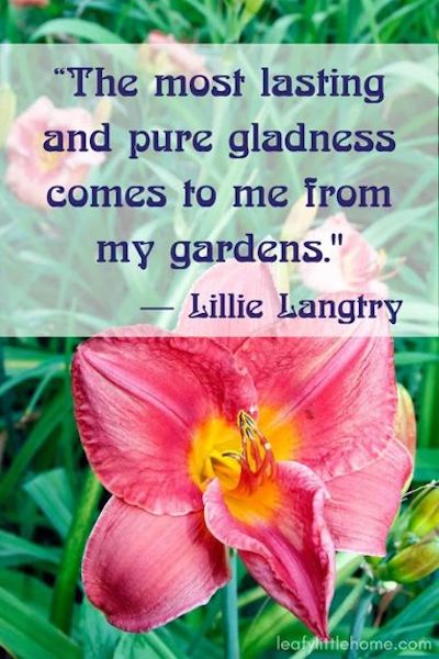 garden quotes