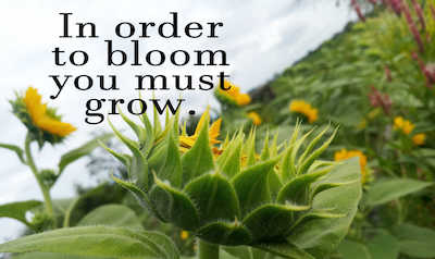 garden quotes