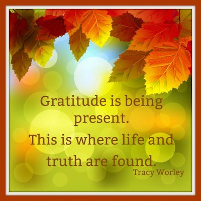 Gratitude Quote