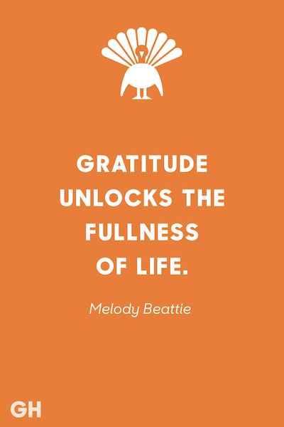 Gratitude Quote