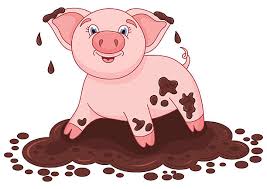 hog in mud