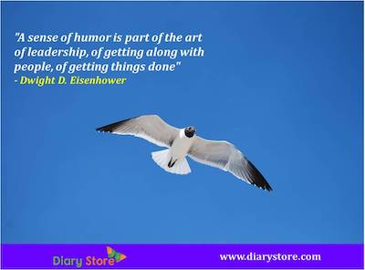 Humor Quote