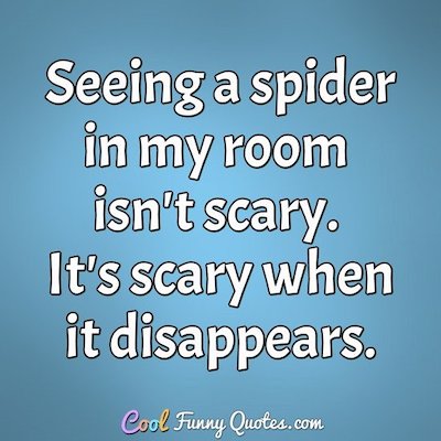 Humor Quote