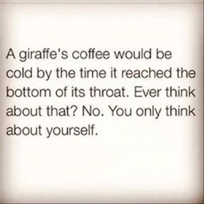 Humor Quote