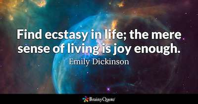 Joy Quote