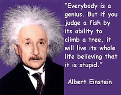 Judging Quotes