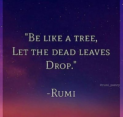 Life Lessons Quote