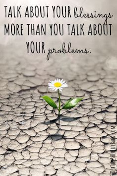 Life Quote