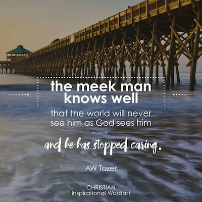 Meekness Quote