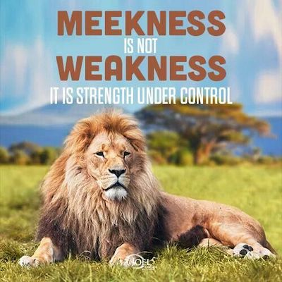 Meekness Quote
