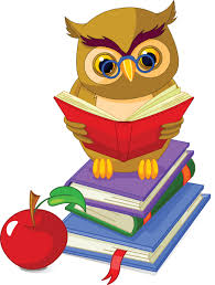 owl reading