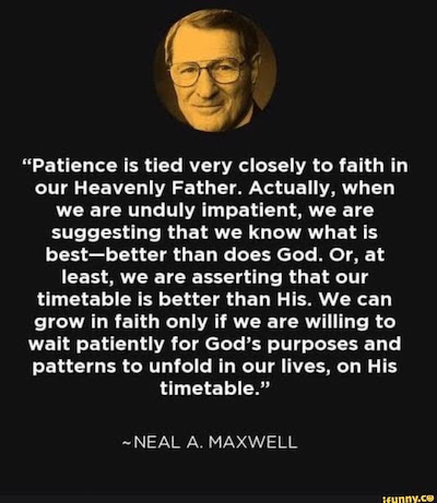 Perseverance Quote