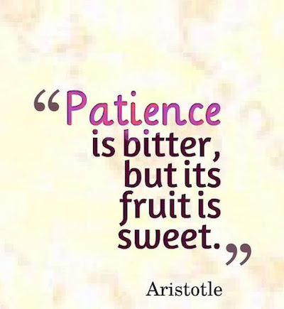 Patience Quote