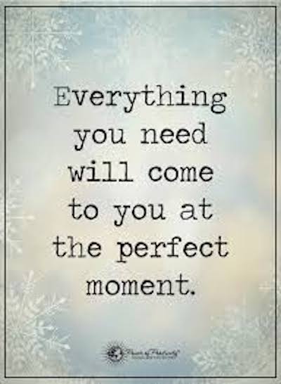 Perfection Quote