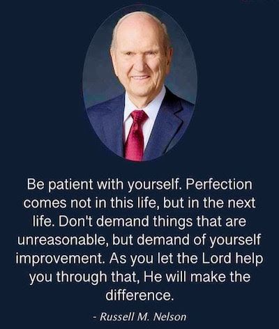 Perfection Quote