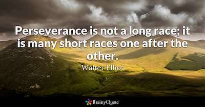 Perseverance Quote