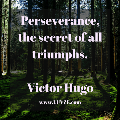 Perseverance Quote