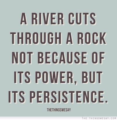 Perseverance Quote