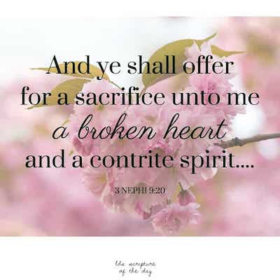 Sacrifice Quote
