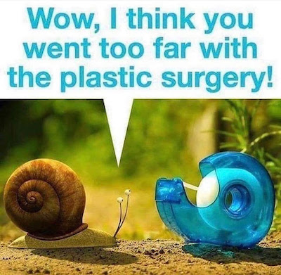 snail plastic surgery picture