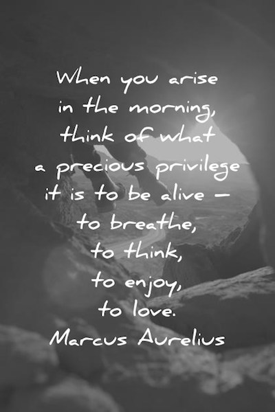 wisdom quotes