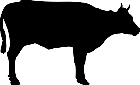 Beef
