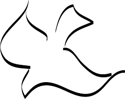 Dove