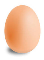 egg
