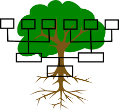family tree