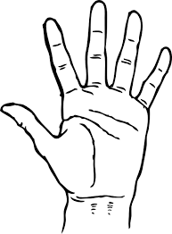 five Fingers
