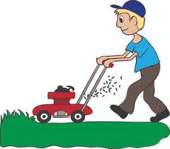 Mow Lawn