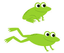two frogs