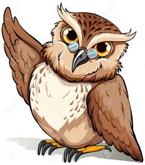 wise owl
